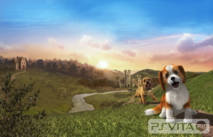 1396453977_playstation-vita-pets_2014_04-02-14_003.jpg 1396453977_playstation-vita-pets_2014_04-02-14_003.jpg