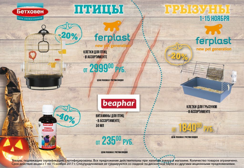 Bethoven_Gazeta_ноябрь-1-15_086.jpg