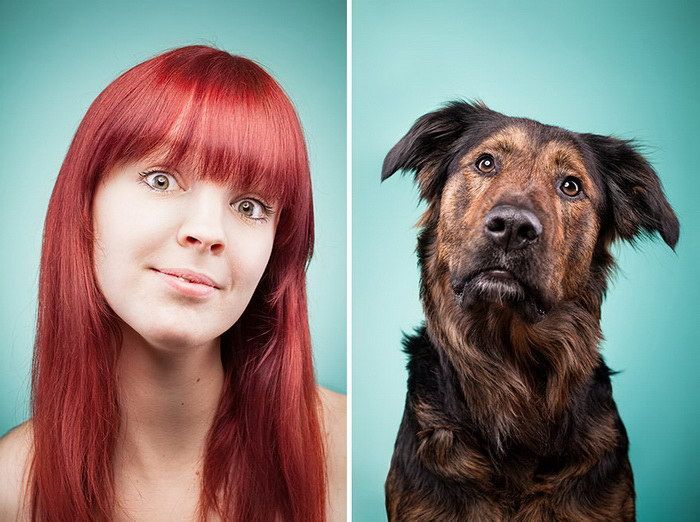 Необычный фотопроект: собаки и их хозяева