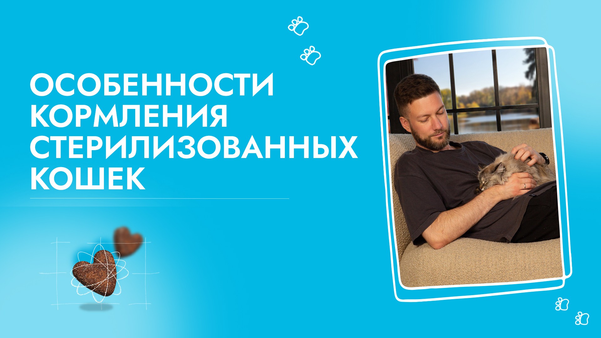 особенности кормления ск.jpg особенности кормления ск.jpg