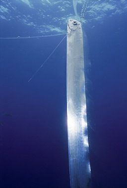 b47fb685a900145e2388d84a2adf11f8.jpg b47fb685a900145e2388d84a2adf11f8.jpg