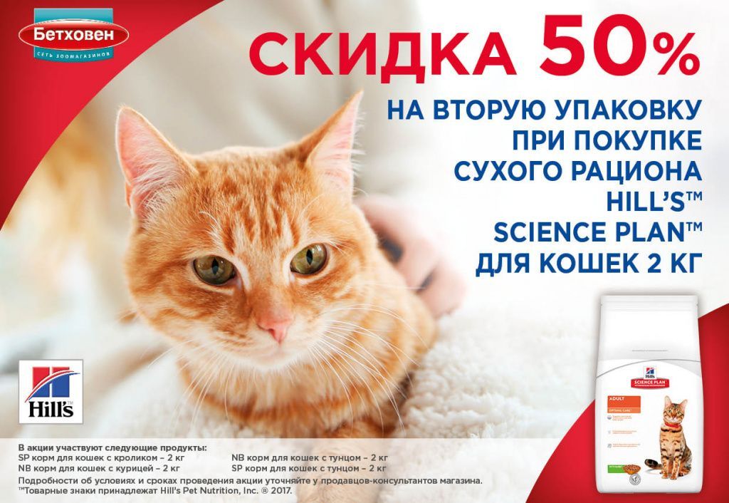 Bethoven_Gazeta_A5-08_август8.jpg