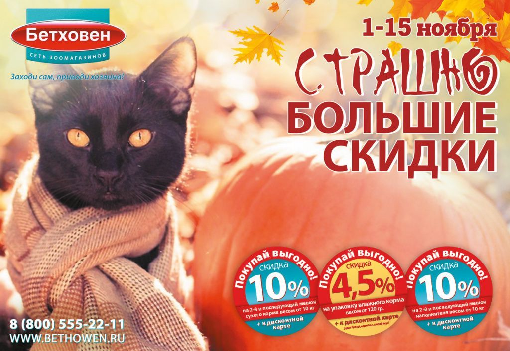 Bethoven_Gazeta_ноябрь-1-15_08 1.jpg