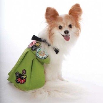 dressed dog.jpg dressed dog.jpg