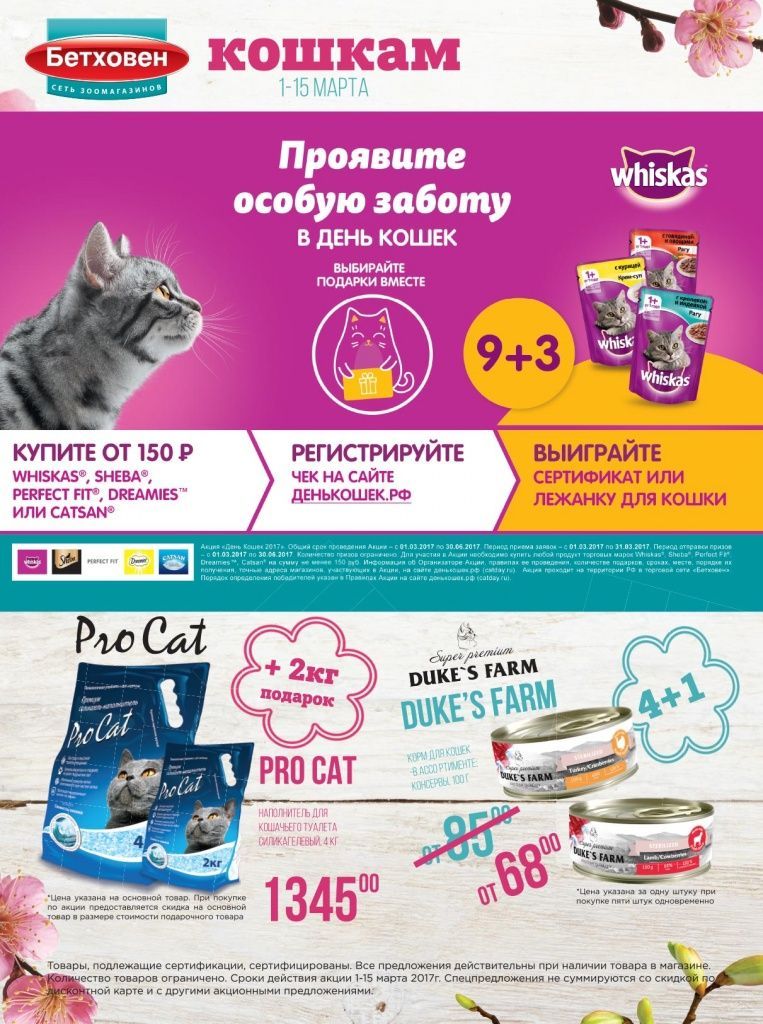 газета_out_A-2.jpg