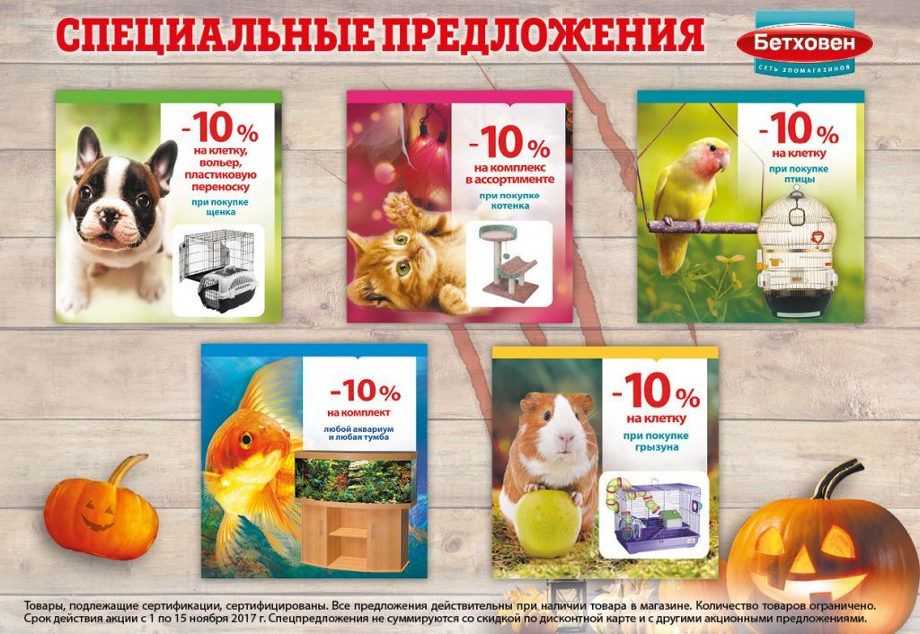 Bethoven_Gazeta_ноябрь-1-15_087.jpg