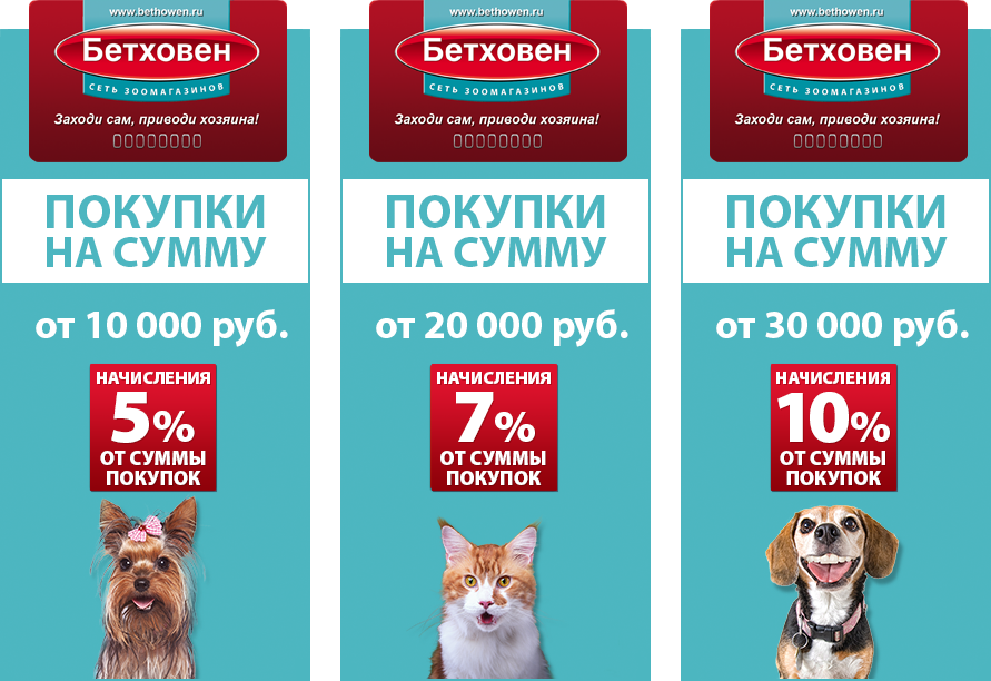 300 бонусов в бетховене это сколько рублей. Смотреть фото 300 бонусов в бетховене это сколько рублей. Смотреть картинку 300 бонусов в бетховене это сколько рублей. Картинка про 300 бонусов в бетховене это сколько рублей. Фото 300 бонусов в бетховене это сколько рублей