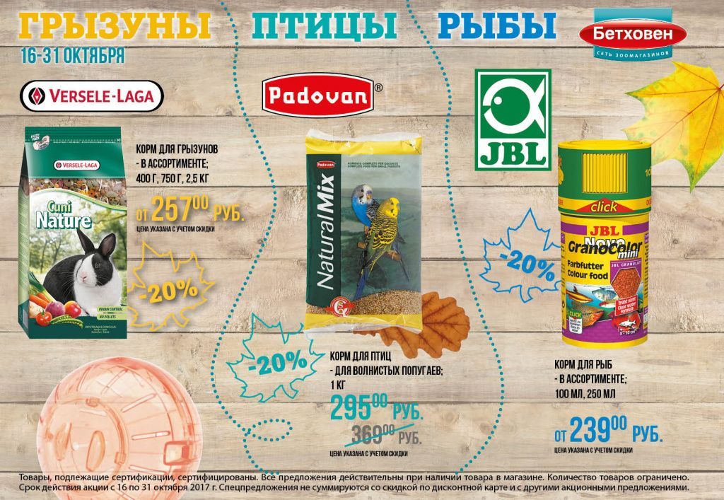Bethoven_Gazeta_A57.jpg