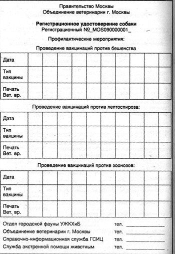 инвентаризация бсо образец