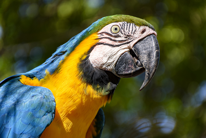 iStock-2165994779.jpg