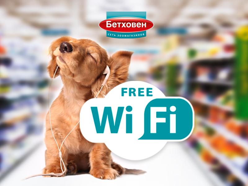 800х600 OK WiFi ок.png 800х600 OK WiFi ок.png