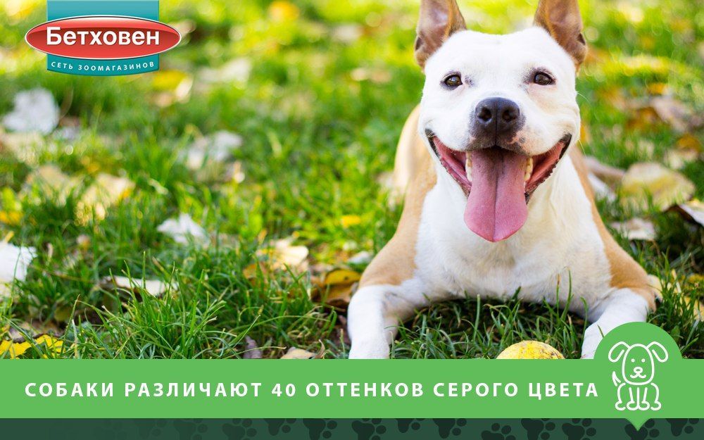 t47MYM9tJn0.jpg t47MYM9tJn0.jpg