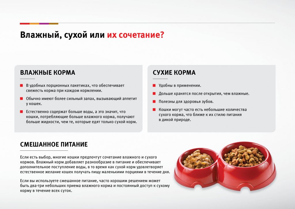 Схема перевода кошки на новый корм