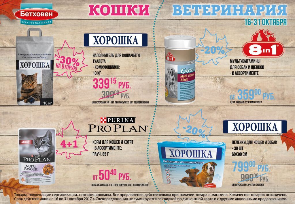 Bethoven_Gazeta_A54.jpg