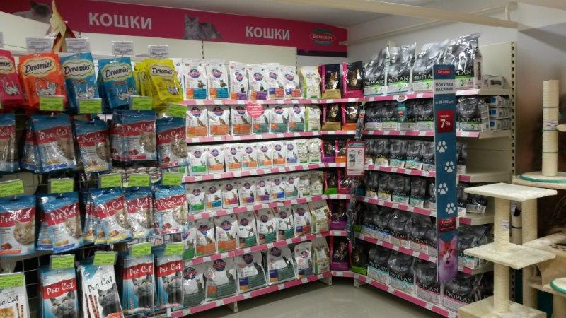 скачанные файлы.jpg